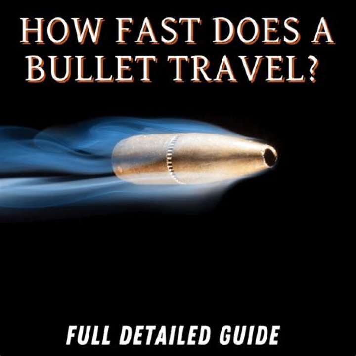 How fast is a boxer?