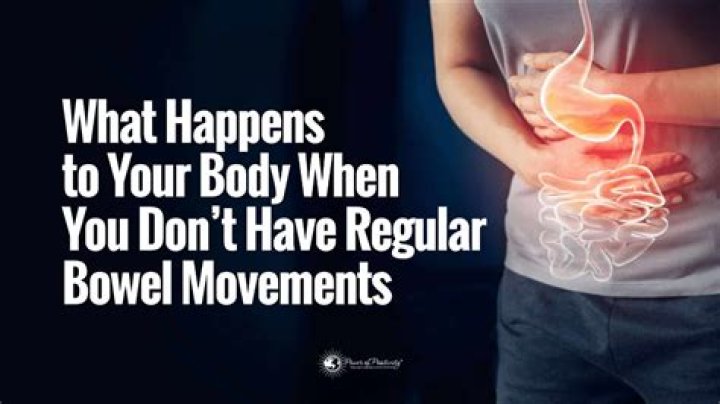 How long can you go without bowel movement?