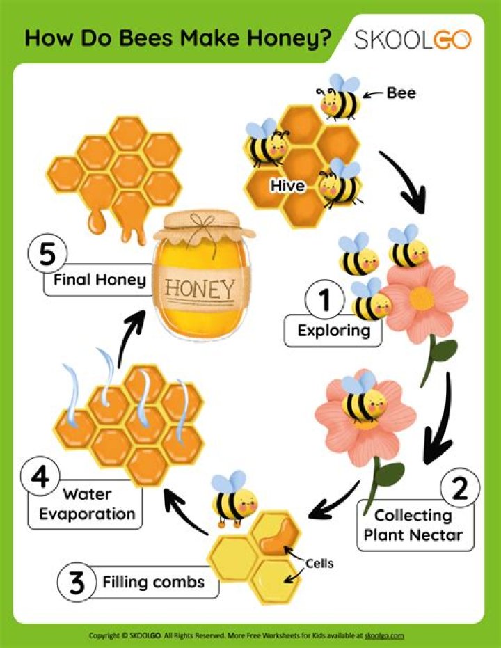 How long does it take for carpenter bees to make a hole?