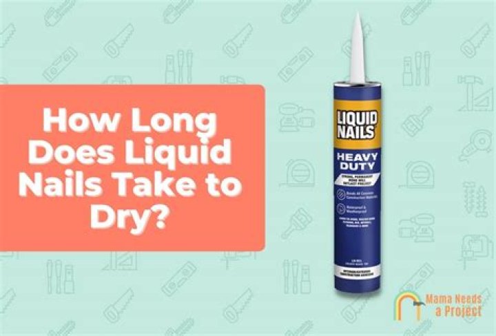 How long does it take to dissolve shellac flakes?