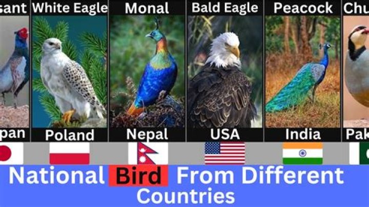How many countries have same national animal?