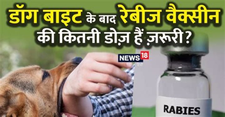 How many injections are needed for dog bite?
