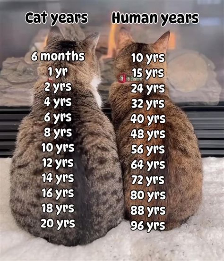 How many years does a kitchen last?