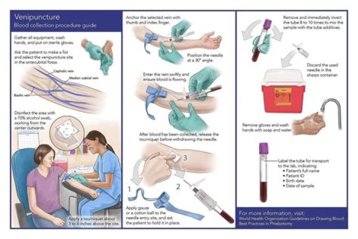 How much blood is removed in a phlebotomy?