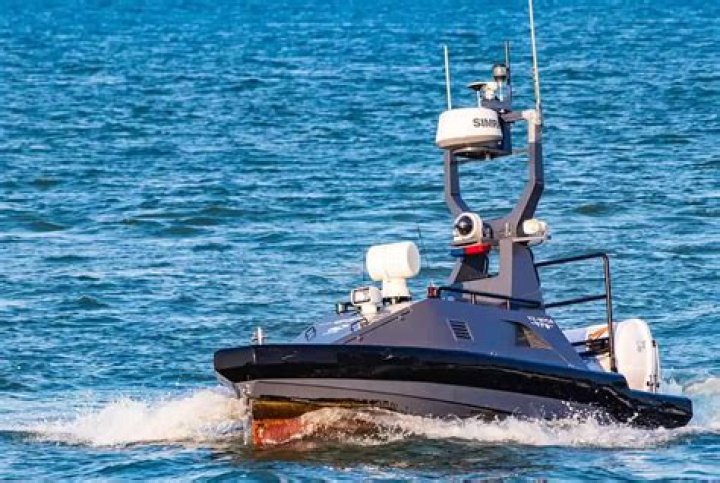 How much do Disney boat drivers make?