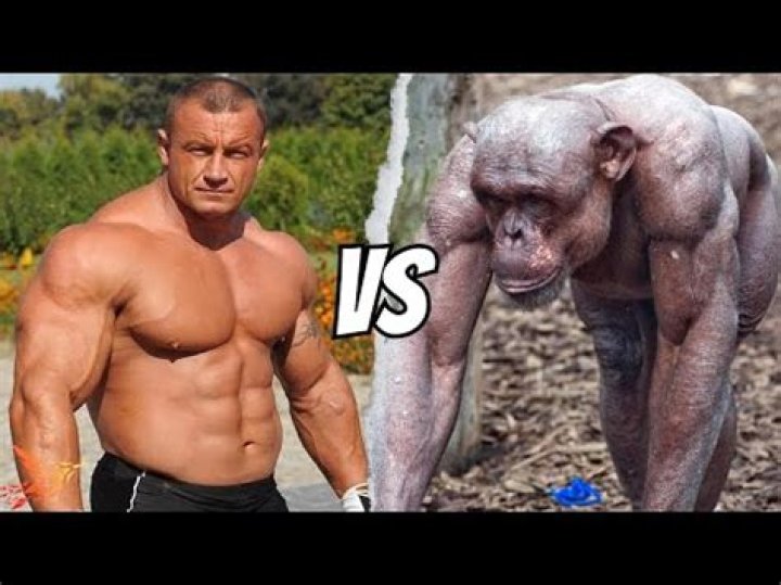 How much stronger can humans get?