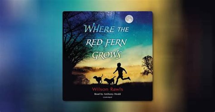How Old Is Billy in Where the Red Fern Grows?