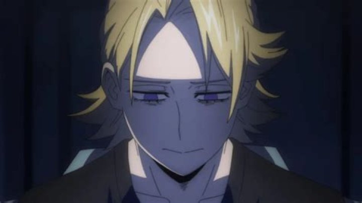 Is Aoyama half French?