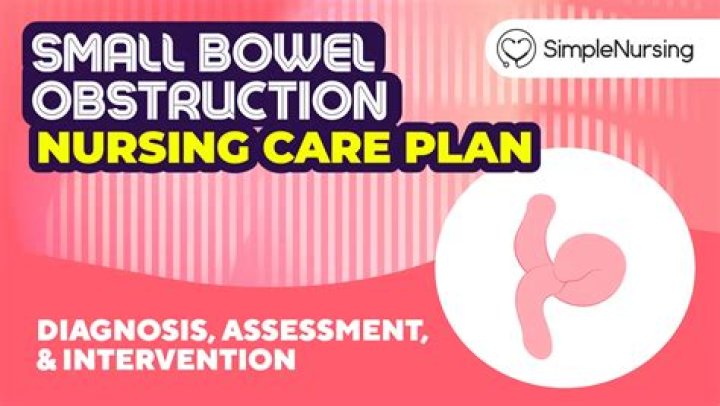 Is bowel obstruction and fecal impaction the same thing?