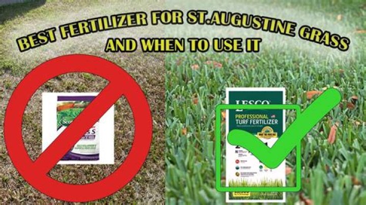 Is cat pee good fertilizer?