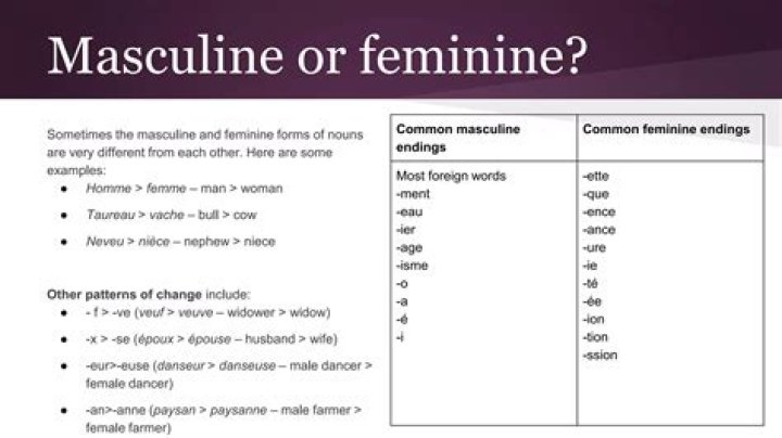 Is elohim feminine?