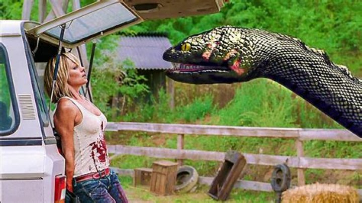 Is jupyter part of Anaconda?