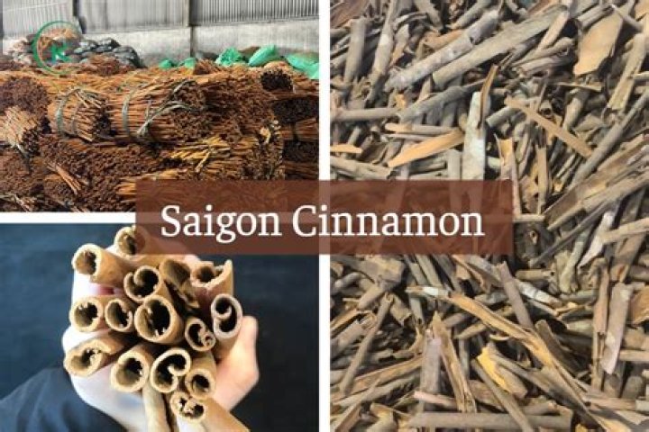 Is Saigon cinnamon True cinnamon?