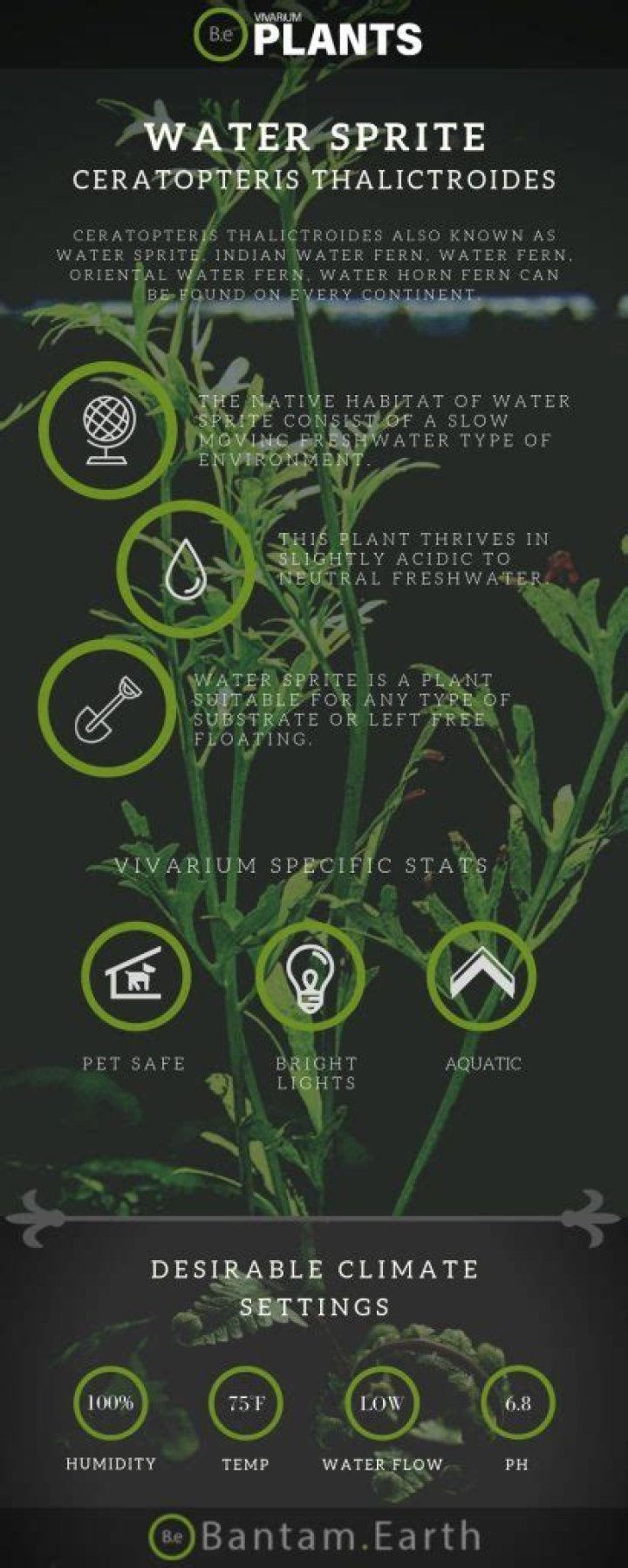 Is Sprite good for plants?