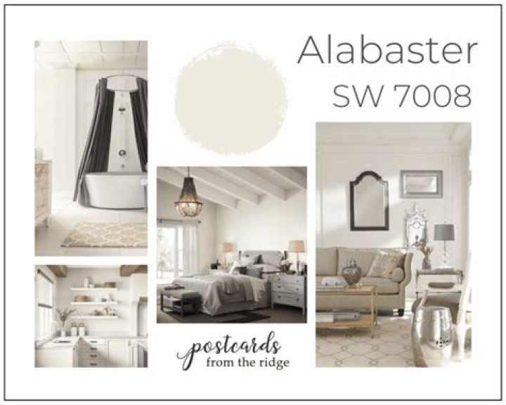 Is SW Alabaster still popular?