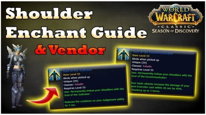 Should a mage go Aldor or Scryer?