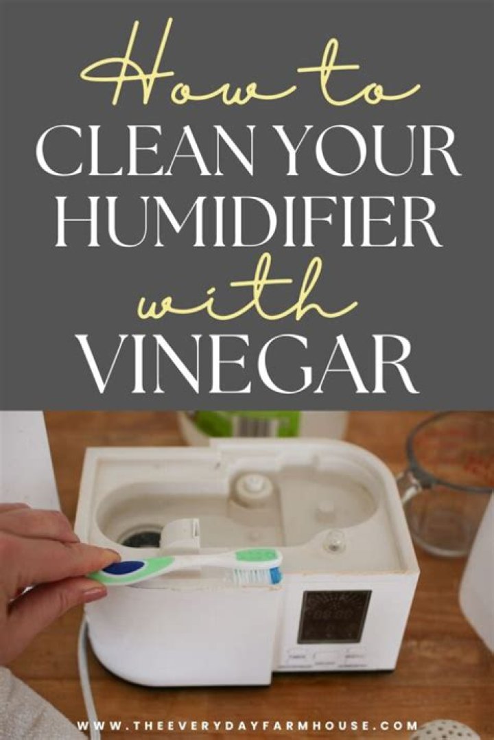 Should I clean my humidifier with bleach or vinegar?