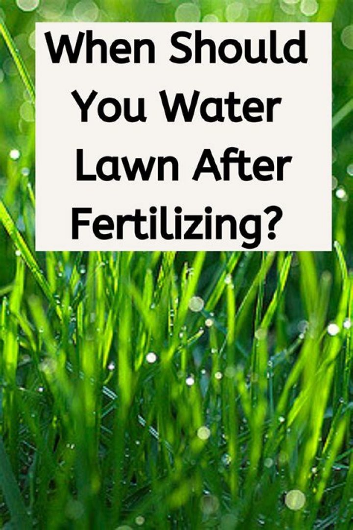 Should I water before fertilizing?