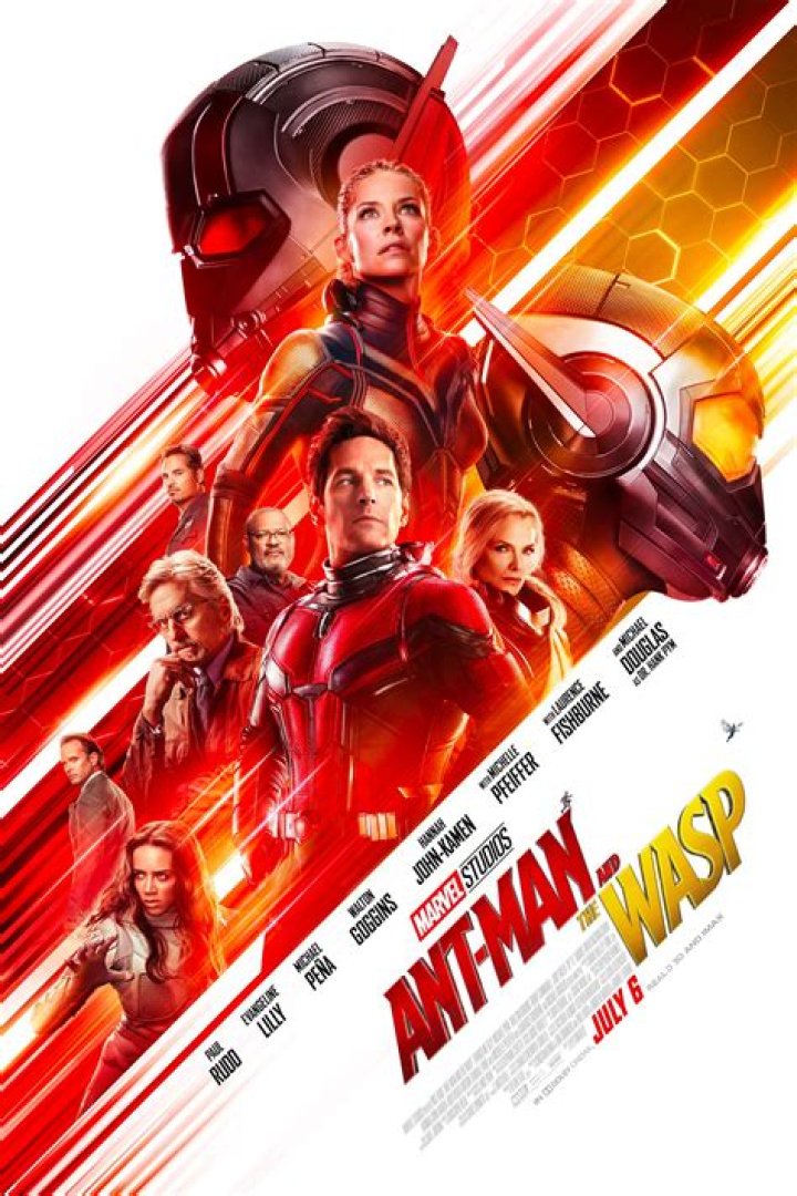Was TVA Ant-Man a wasp?