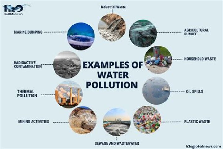 What are pollutants and examples?