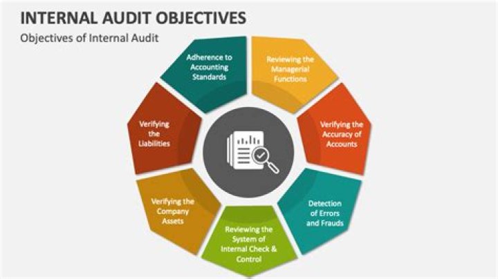 What are the 7 audit objectives?