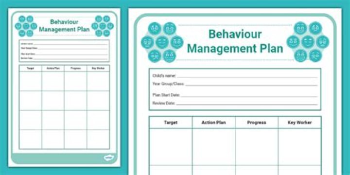 What are the five main elements in a behaviour support plan?