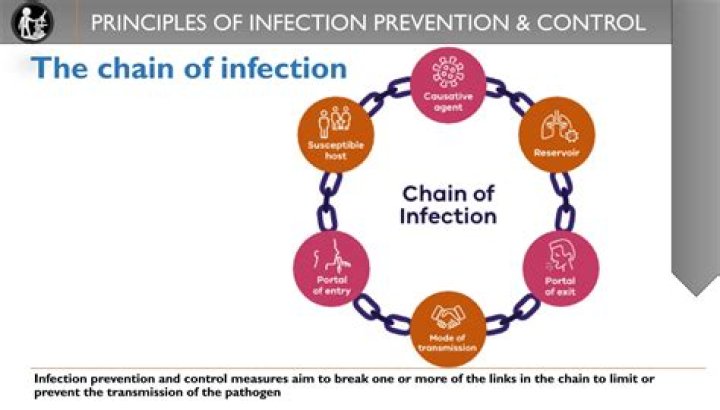 What are the two basic principles of prevention of infectious diseases?