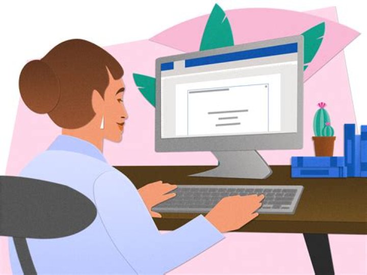 What are the two types of accountants?