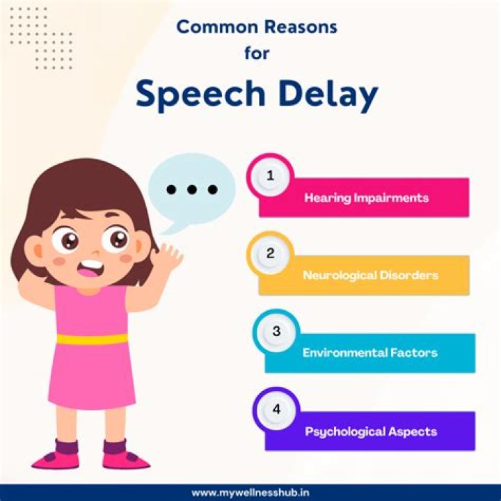What are three possible causes of speech language delays?