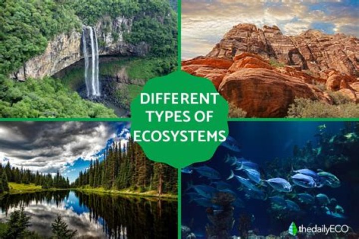 What are types of set?