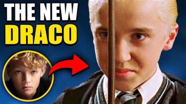 What book did Draco rip page out of?
