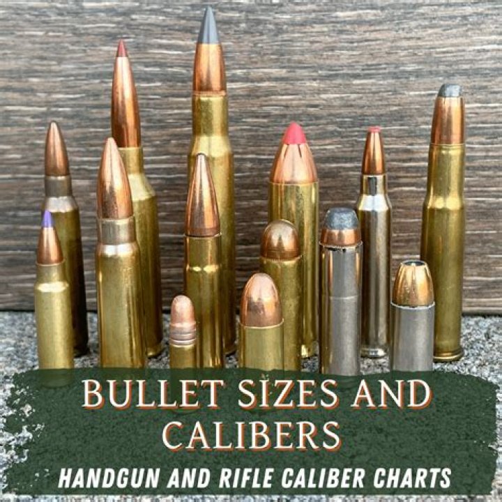 What caliber is a AR 15?