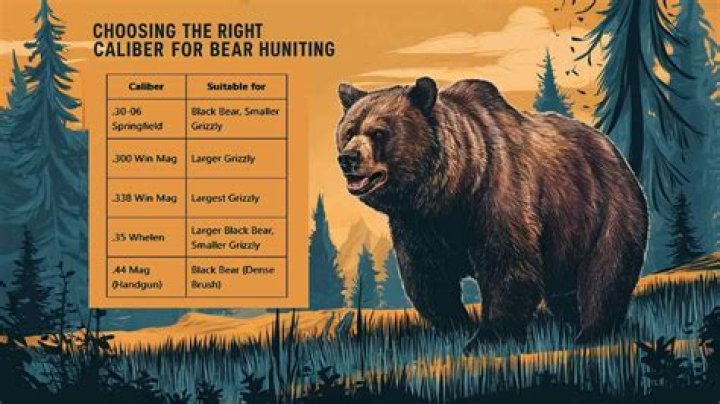 What caliber is a grizzly bear?