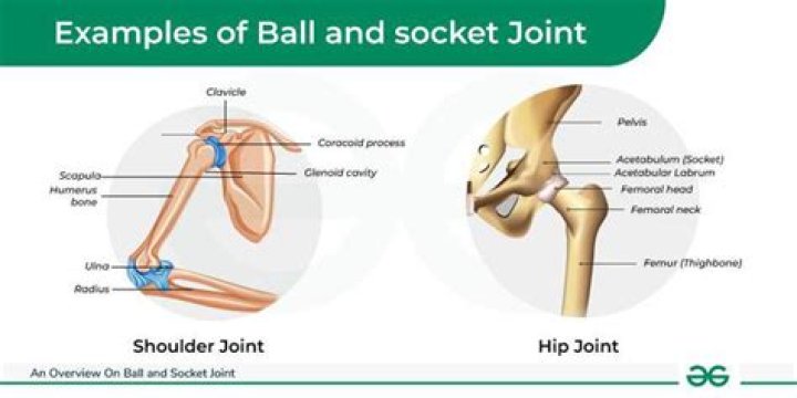 What causes ball joints to wear out?