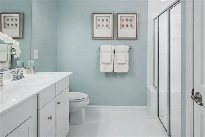 What color should the bathroom be?