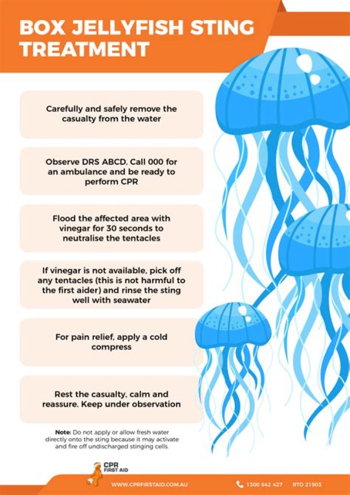 What cures a jellyfish sting?