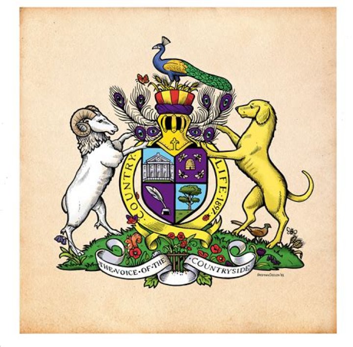 What do stars on a coat of arms mean?