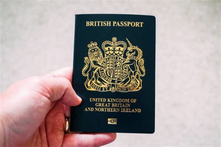 What do UK passports look like?