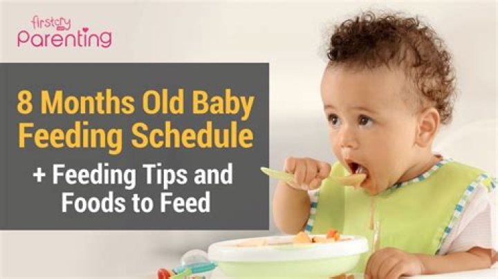 What do you feed a baby for lunch?