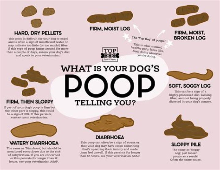 What does a clean person look like?