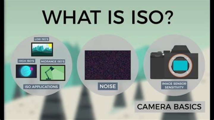 What does ISO mean on film?