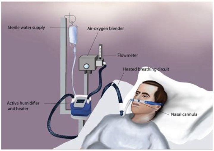 What does it mean to be on 100 percent oxygen?