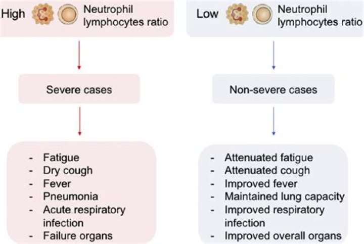 What does low neutrophils and low WBC mean?