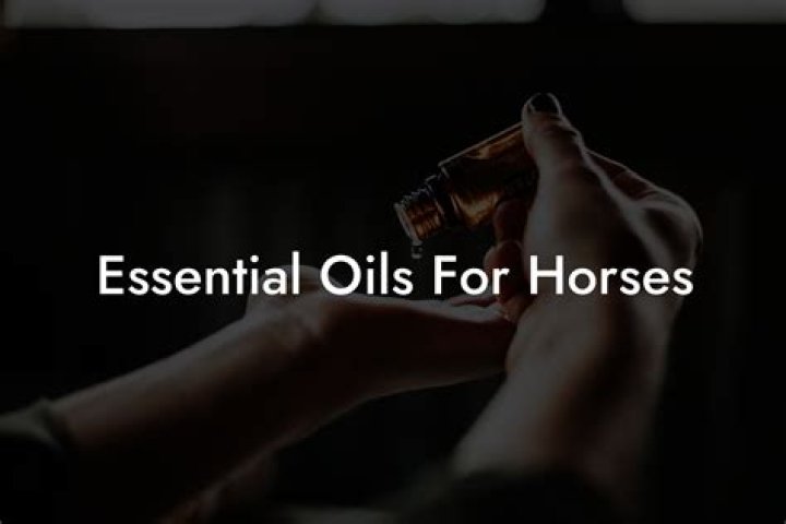 What essential oils help calm horses?