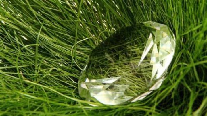 What happens if you find diamonds on your property?