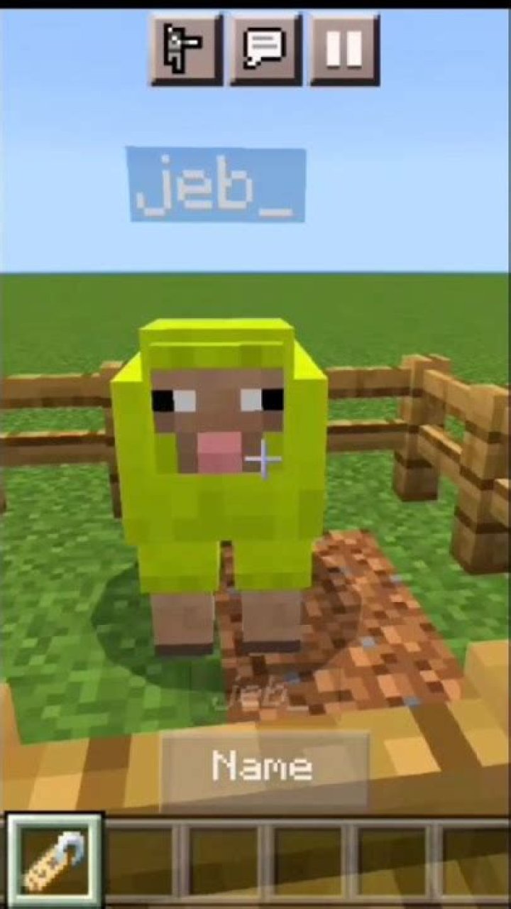 What happens if you name a sheep JEB_ in Minecraft?