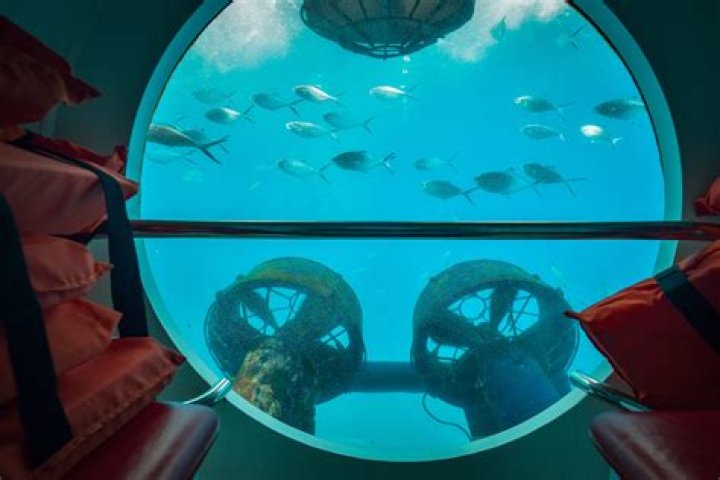 What happens to a body underwater for 20 years?