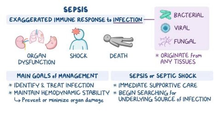 What happens to body during sepsis?