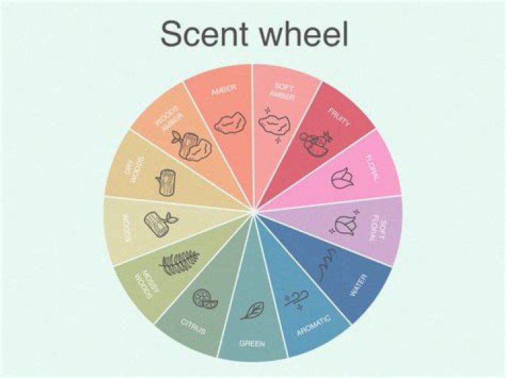 What is a scent walk?