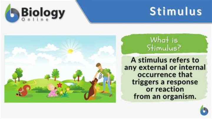 What is a stimulus question?